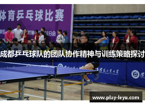 成都乒乓球队的团队协作精神与训练策略探讨