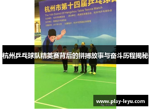 杭州乒乓球队精英赛背后的拼搏故事与奋斗历程揭秘